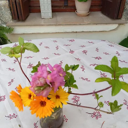 Creta Traditional Experience In Nature And Cretan Country Side